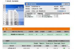 最高單價25萬的房子成交價才2萬元 全國第一單價豪宅曝“價格門”
