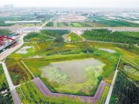 建設海綿城市：管好水才能建好城