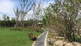 “五違”集聚地拆出主題公園，張江科學城一日新添兩項民生工程