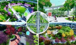 上海中心城區8萬平米綠地改造 揭秘工程設計難點