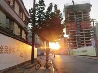 普陀 | 關閉一年，銅川路水產市場原址如今什么樣？未來會怎樣？