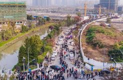 人民房評：南京為何再現排隊買房