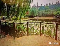 楊浦 | 這兩座公園綠化改造后煥然一新，據說美得很……