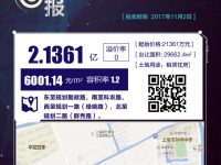 前灘張江4幅租賃地提前成交 100%不可售住房