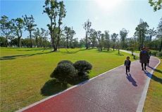松江 | 今年新添綠道13.2公里，有沒有在你家附近的？