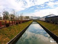 金山 | 這兩個備受矚目的公園建得咋樣了？超多美景搶先看！
