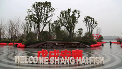 奉賢 | 上海之魚年豐公園正式對外開放，暫時可免費停車