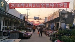 “翻版”曹家渡花鳥市場也即將關門，市民紛紛前去淘寶
