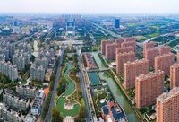 金山 | 電影學院、長三角路演中心等40個今年重點產業項目出爐