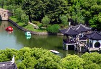 上海這個區離“遍地是公園”還有多遠？