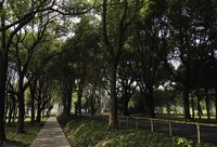 春游 | 上海西北部的這塊大“鉆石”，你去體驗過嗎？