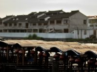 再見，上海的“鄉村小洋樓”！