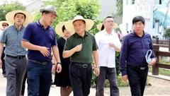 浦東｜翁祖亮：把調研會變成現場會，把難題變課題