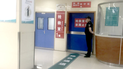 精準對接學科，奉賢區探索“教聯體”提升區域綜合實力