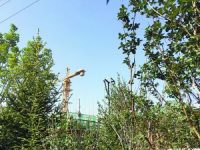 20項目獲批預售 北京限競房集中入市