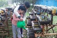 “小區種菜”種出一道風景線，這方法既環保又“治愈”鄉愁