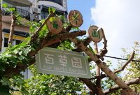 上海市區居然有這么多菜園？小區種菜該不該一味禁止