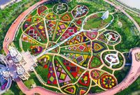 秋天好看的花少？上海這座公園卻用它們編出33米高城堡和1萬平方米地毯