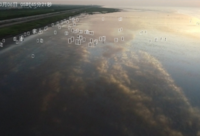 厲害了！上海臨港來了一名不知疲倦的“天空巡邏員”