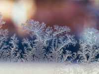 官宣！上海明天市區氣溫跌破“零點”，元旦假期首日累積雨雪量小到中等