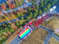 2019元旦上海人去哪迎接日出？東方明珠塔、上海中心、金茂大廈各出新招
