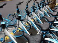 全新哈啰單車驚現上海市區，“禁投令”變一紙空文？系“轉運錯誤”？