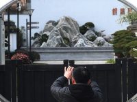 盆景山石玩出新花樣，掛壁式的藝術盆景你見過沒？
