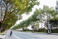 農村公路像沒人管的孩子？上海松江制定農村公路建設規劃，創建“四好農村路”