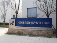 專利申請從3年縮短到3個月,“浦東速度”為民企創新護航