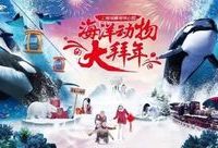 海洋動物大拜年啦，今年春節上海海昌海洋公園迎來最潮“海派”年