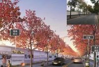中以創新園加緊建設，桃浦地區環境品質整體提升