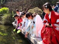 上海再現“花朝節”，新版“十二花神”啟動競選！市花白玉蘭強勢圍觀
