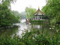 上海動物園游客最近發現異常：美麗的天鵝湖怎么干了？原來這是一項時隔八年的大工程