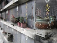 申城14條清明掃墓公交專線已開通