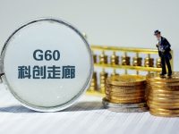 G60是一條怎樣的“走廊”？市政協委員們為你問來了答案