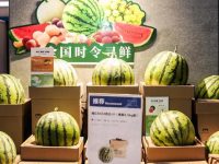 正宗的南匯8424西瓜居然賣不掉？解決方案來了