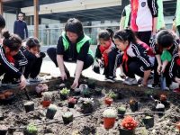 你去過那家線上花店嗎？那里的花竟然都是用“濕垃圾”種出來的……