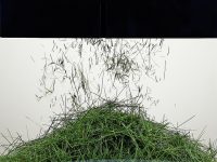 垃圾分類催生處理“神器”！粉碎機、堆肥機在上海“吃”垃圾，腸胃能適應嗎？