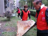 垃圾被扔在桶外，竟有特殊緣由？上海小鎮上“一百零八將”，助力化解基層治理疑難雜癥