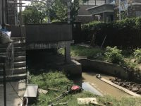 局長剛說拆違“任重道遠”，金山清風別墅就被舉報棟棟有違建，且新增違建不少