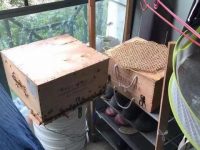 上海一小區竟有租戶養蜜蜂，鄰居怕被蟄反響強烈，社區民警上門勸阻限期處理