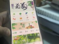上海地產綠色農產品認證率將達30%，百姓查詢神器已上線