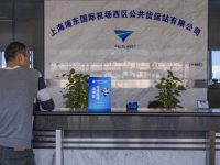 浦東機場貨站經理親歷進博會展品高峰：一大撥展品還在路上，已抵達規模已超去年總量！