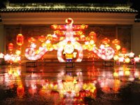 停辦6年，上海這個燈會今年元宵回歸，“南國燈城”18組定制彩燈雨中首次點亮
