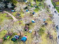 42.75萬！一天游客量超過周末兩天，多座公園調整客流上限