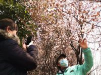 馳援武漢的上海飛行員本想“默默無聞”，可園丁的這個動作讓人動容