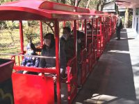 39萬人次！上海公園恢復開放首個周末游客多，明天再開放83座