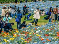 3天186.9萬人次！上海公園迎開春以來最大客流，入園人數上限會放寬嗎？