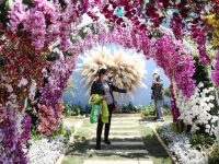 注意！這些公園“五一”限流，不預約將謝絕入園