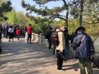 鶯歌燕舞時節，上海動物園里鳥兒筑巢、幼雛出殼的場面難得一見……